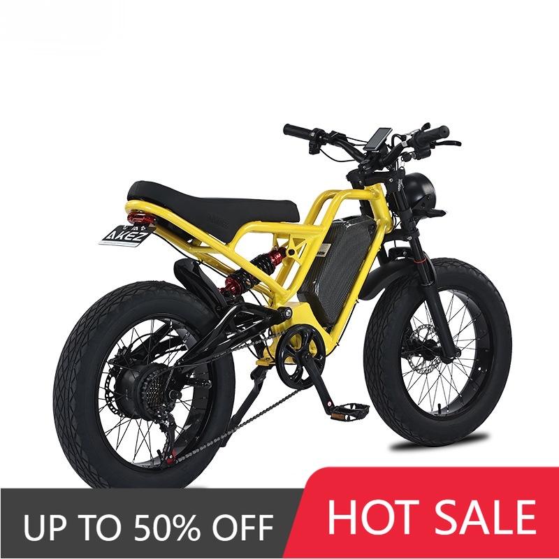RRE QQA 13Ah lithiumbatterij,  - 48V 1500W Rear Hub Motor With Battery recensie en prijs