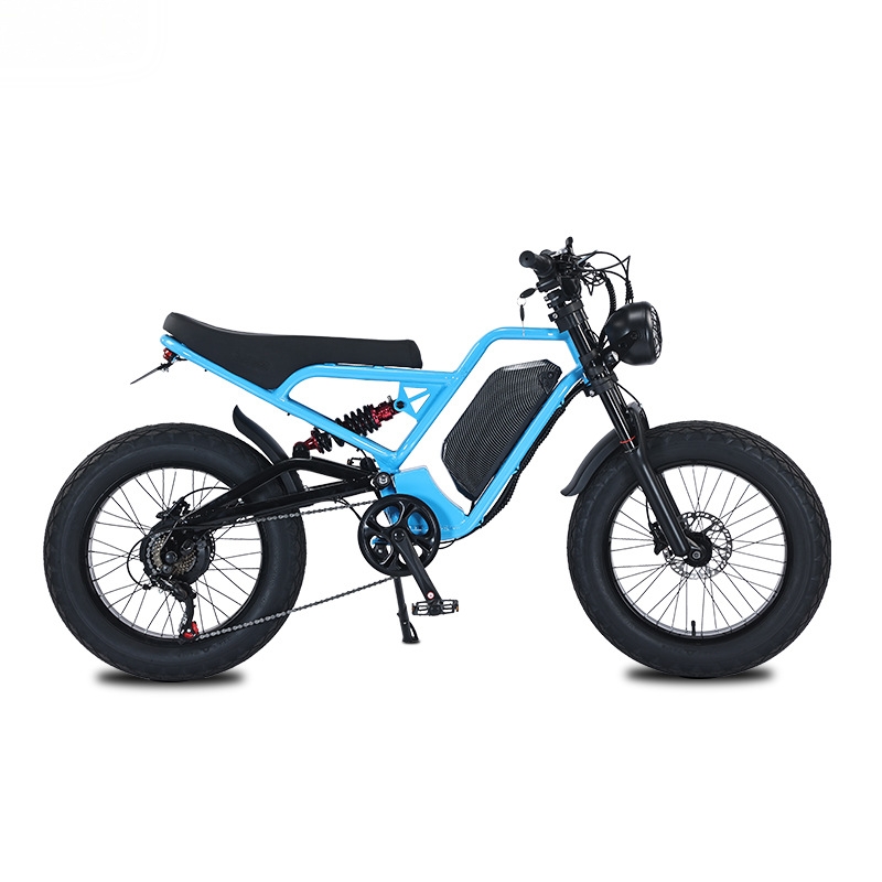RRE QQA 13Ah lithiumbatterij,  - 48V 1500W Rear Hub Motor With Battery recensie en prijs