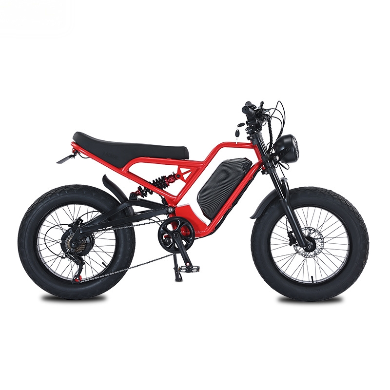 RRE QQA 13Ah lithiumbatterij,  - 48V 1500W Rear Hub Motor With Battery recensie en prijs